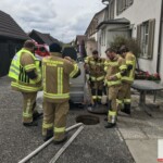 CREATOR: gd-jpeg v1.0 (using IJG JPEG v80), default quality