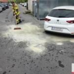 CREATOR: gd-jpeg v1.0 (using IJG JPEG v80), default quality